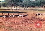 Image 1re Division des Marines des États-Unis Australie, 1943, de la seconde 34 séquences d'archives historiques vidéo 65675064081