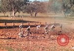 Image 1re Division des Marines des États-Unis Australie, 1943, de la seconde 39 séquences d'archives historiques vidéo 65675064081