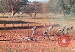 Image 1re Division des Marines des États-Unis Australie, 1943, de la seconde 40 séquences d'archives historiques vidéo 65675064081