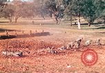 Image 1re Division des Marines des États-Unis Australie, 1943, de la seconde 44 séquences d'archives historiques vidéo 65675064081
