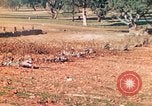 Image 1re Division des Marines des États-Unis Australie, 1943, de la seconde 51 séquences d'archives historiques vidéo 65675064081