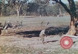 Image 1re Division des Marines des États-Unis Australie, 1943, de la seconde 60 séquences d'archives historiques vidéo 65675064081