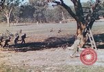 Image 1re Division des Marines des États-Unis Australie, 1943, de la seconde 61 séquences d'archives historiques vidéo 65675064081