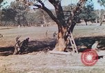 Image 1re Division des Marines des États-Unis Australie, 1943, de la seconde 62 séquences d'archives historiques vidéo 65675064081