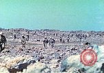 Standbild 3 Infanterie Division Iwo Jima, 1945, aus Sekunde 32 historischem Filmmaterial Videoclip 65675064083