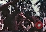 Image 5e Régiment de Marines Pavuvu Île Russell Îles Salomon Îles, 1944, de la seconde 8 séquences d'archives historiques vidéo 65675064086
