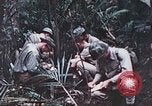 Image of 5th Marine Regiment Pavuvu Island Russell Islands Solomon Islands, 1944, second 19 stock footage video 65675064088