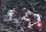 Image of 5th Marine Regiment Pavuvu Island Russell Islands Solomon Islands, 1944, second 20 stock footage video 65675064088