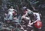 Image of 5th Marine Regiment Pavuvu Island Russell Islands Solomon Islands, 1944, second 21 stock footage video 65675064088