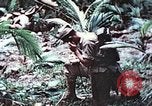 Image of 5th Marine Regiment Pavuvu Island Russell Islands Solomon Islands, 1944, second 46 stock footage video 65675064088