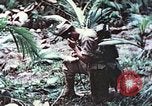 Image of 5th Marine Regiment Pavuvu Island Russell Islands Solomon Islands, 1944, second 48 stock footage video 65675064088