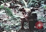 Image of 5th Marine Regiment Pavuvu Island Russell Islands Solomon Islands, 1944, second 51 stock footage video 65675064088