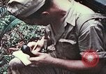 Image of 5th Marine Regiment Pavuvu Island Russell Islands Solomon Islands, 1944, second 56 stock footage video 65675064088