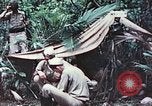 Image of 5th Marine Regiment Pavuvu Island Russell Islands Solomon Islands, 1944, second 61 stock footage video 65675064088
