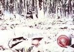 Image of 5th Marine Regiment Russell islands Solomon Islands, 1944, second 8 stock footage video 65675064090