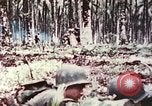 Image of 5th Marine Regiment Russell islands Solomon Islands, 1944, second 11 stock footage video 65675064090