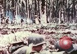 Image of 5th Marine Regiment Russell islands Solomon Islands, 1944, second 12 stock footage video 65675064090