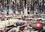 Image of 5th Marine Regiment Russell islands Solomon Islands, 1944, second 13 stock footage video 65675064090