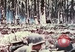 Image of 5th Marine Regiment Russell islands Solomon Islands, 1944, second 14 stock footage video 65675064090