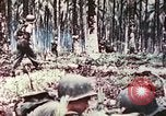 Image of 5th Marine Regiment Russell islands Solomon Islands, 1944, second 16 stock footage video 65675064090
