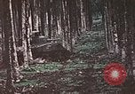 Image of 5th Marine Regiment Russell islands Solomon Islands, 1944, second 18 stock footage video 65675064090