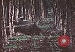Image of 5th Marine Regiment Russell islands Solomon Islands, 1944, second 19 stock footage video 65675064090