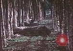 Image of 5th Marine Regiment Russell islands Solomon Islands, 1944, second 21 stock footage video 65675064090