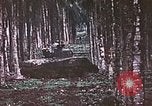 Image of 5th Marine Regiment Russell islands Solomon Islands, 1944, second 22 stock footage video 65675064090