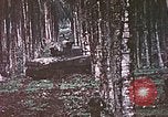 Image of 5th Marine Regiment Russell islands Solomon Islands, 1944, second 24 stock footage video 65675064090