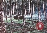 Image of 5th Marine Regiment Russell islands Solomon Islands, 1944, second 25 stock footage video 65675064090