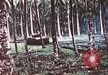 Image of 5th Marine Regiment Russell islands Solomon Islands, 1944, second 26 stock footage video 65675064090