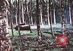 Image of 5th Marine Regiment Russell islands Solomon Islands, 1944, second 27 stock footage video 65675064090