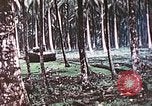 Image of 5th Marine Regiment Russell islands Solomon Islands, 1944, second 28 stock footage video 65675064090