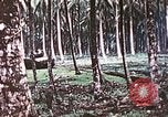Image of 5th Marine Regiment Russell islands Solomon Islands, 1944, second 29 stock footage video 65675064090