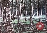 Image of 5th Marine Regiment Russell islands Solomon Islands, 1944, second 30 stock footage video 65675064090