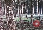 Image of 5th Marine Regiment Russell islands Solomon Islands, 1944, second 31 stock footage video 65675064090