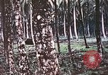 Image of 5th Marine Regiment Russell islands Solomon Islands, 1944, second 33 stock footage video 65675064090