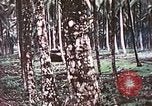 Image of 5th Marine Regiment Russell islands Solomon Islands, 1944, second 34 stock footage video 65675064090