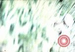 Image of 5th Marine Regiment Russell islands Solomon Islands, 1944, second 36 stock footage video 65675064090