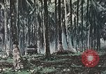 Image of 5th Marine Regiment Russell islands Solomon Islands, 1944, second 39 stock footage video 65675064090