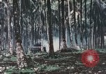 Image of 5th Marine Regiment Russell islands Solomon Islands, 1944, second 41 stock footage video 65675064090