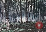 Image of 5th Marine Regiment Russell islands Solomon Islands, 1944, second 42 stock footage video 65675064090