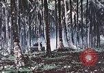 Image of 5th Marine Regiment Russell islands Solomon Islands, 1944, second 43 stock footage video 65675064090