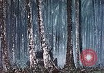 Image of 5th Marine Regiment Russell islands Solomon Islands, 1944, second 45 stock footage video 65675064090
