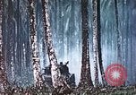 Image of 5th Marine Regiment Russell islands Solomon Islands, 1944, second 48 stock footage video 65675064090