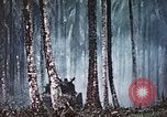 Image of 5th Marine Regiment Russell islands Solomon Islands, 1944, second 49 stock footage video 65675064090