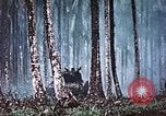 Image of 5th Marine Regiment Russell islands Solomon Islands, 1944, second 52 stock footage video 65675064090