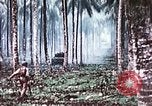 Image of 5th Marine Regiment Russell islands Solomon Islands, 1944, second 54 stock footage video 65675064090