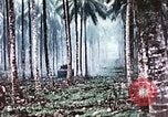 Image of 5th Marine Regiment Russell islands Solomon Islands, 1944, second 59 stock footage video 65675064090
