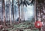 Image of 5th Marine Regiment Russell islands Solomon Islands, 1944, second 61 stock footage video 65675064090